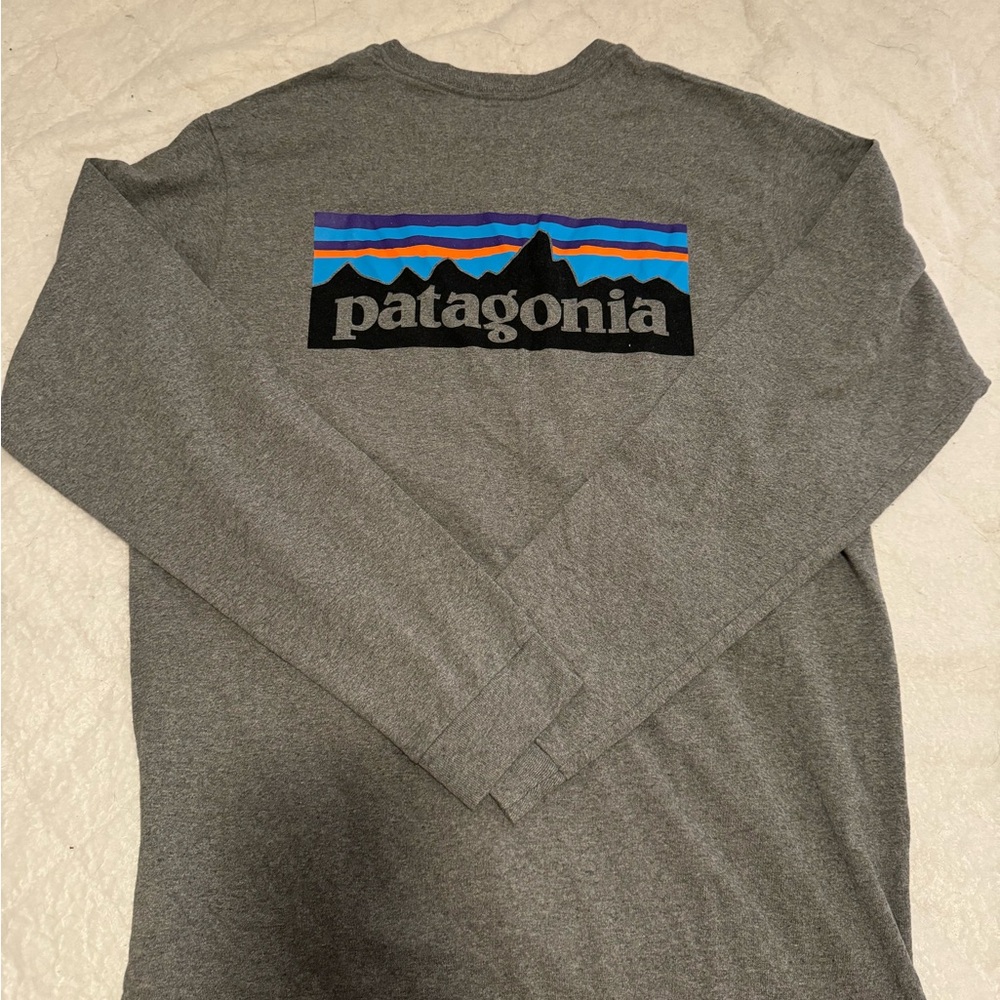 Patagonia Gray Long Sleeve Tee with Mountain Graphic